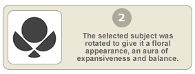 The selected subject was rotated to give it a floral appearance, an aura of expansiveness and balance.